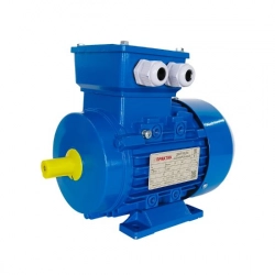 Электродвигатель общепромышленного назначения 5А 50МА2 0.09 кВт 3000 Об/мин (лапы) - фото