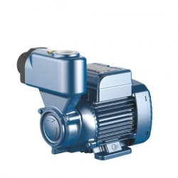 Насос вихревой PKSm60 - фото