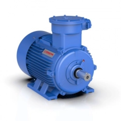 Взрывозащищенный электродвигатель ВРА 250S6 1000 Об/мин 45 кВт (комб/фл) - фото