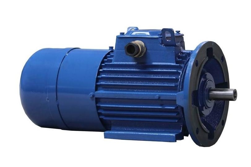 Крановый электродвигатель АМТФ 211-6 7.5 кВт 925 Об/мин (1001, 1003) - фото
